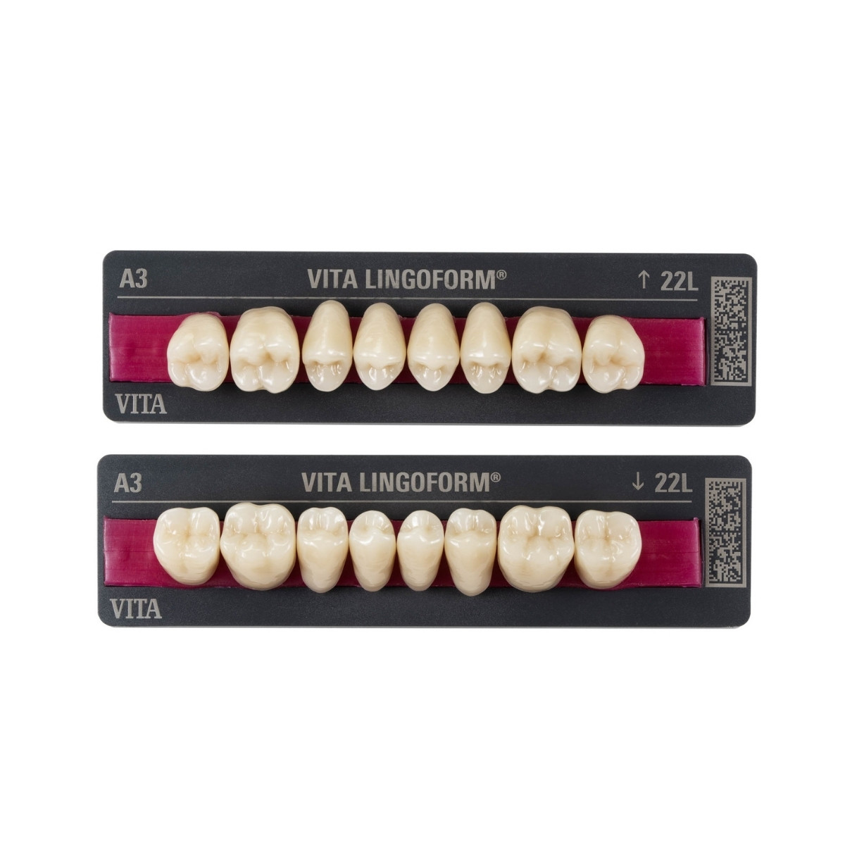 VITAPAN® LINGOFORM Posterior