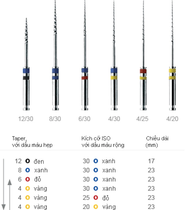 Các loại trâm nội nha