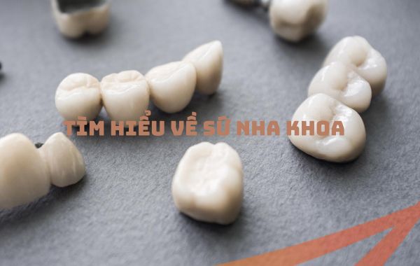 Tìm hiểu về nguyên vật liệu sứ nha khoa Tìm hiểu về nguyên vật liệu sứ nha khoa